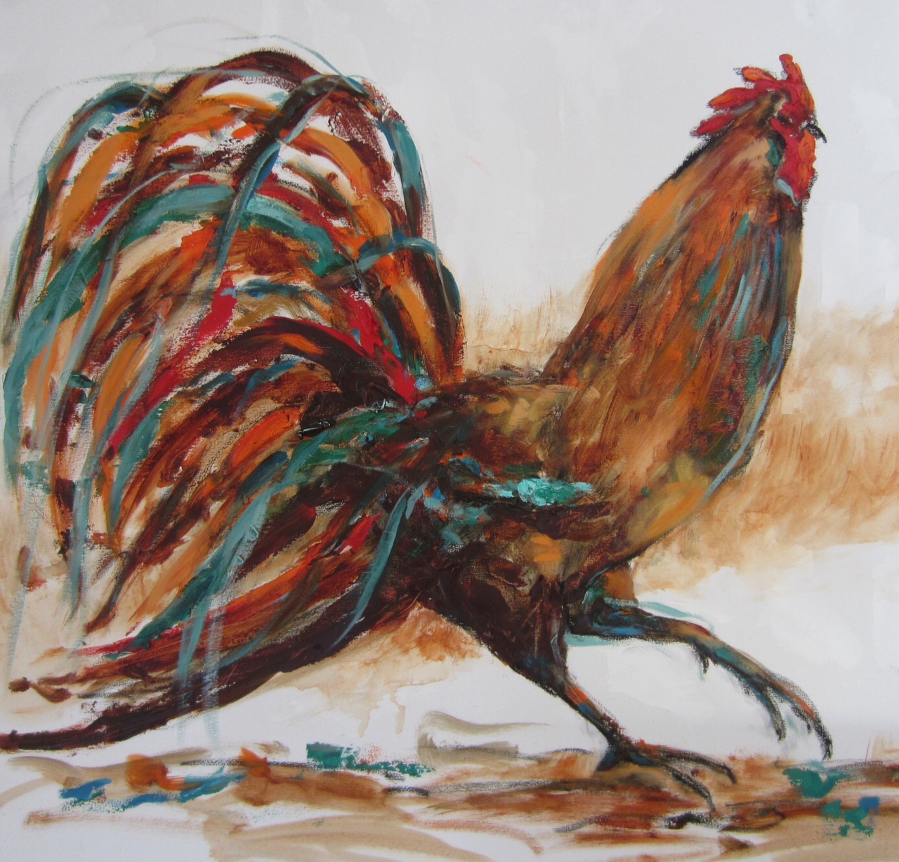 Gallo de riña