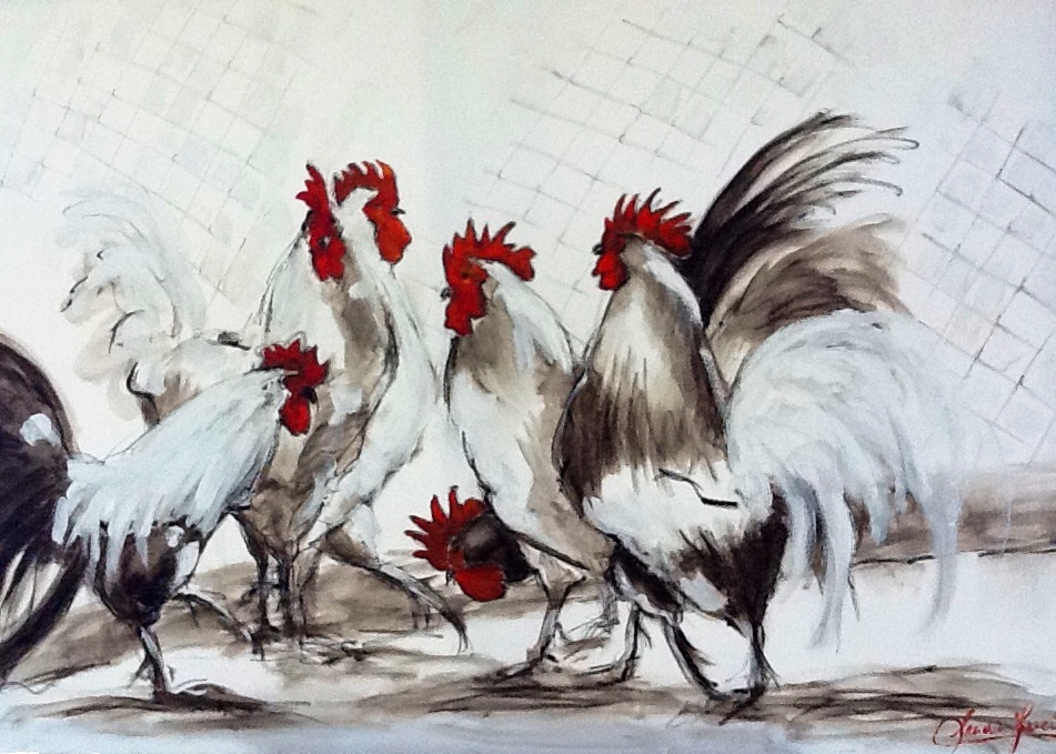 Gallos Politicos