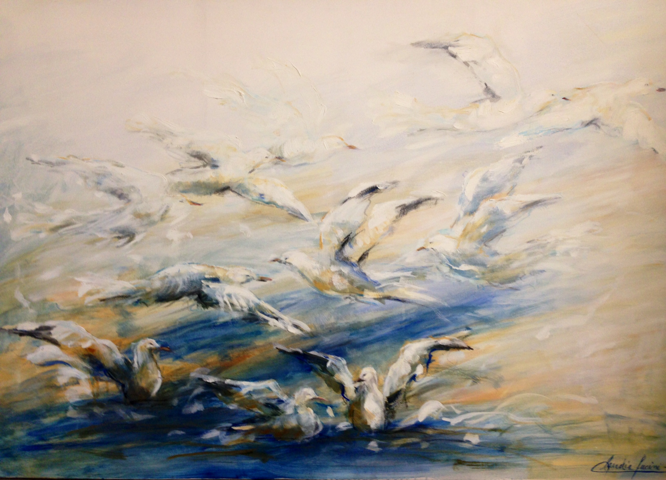 Volar