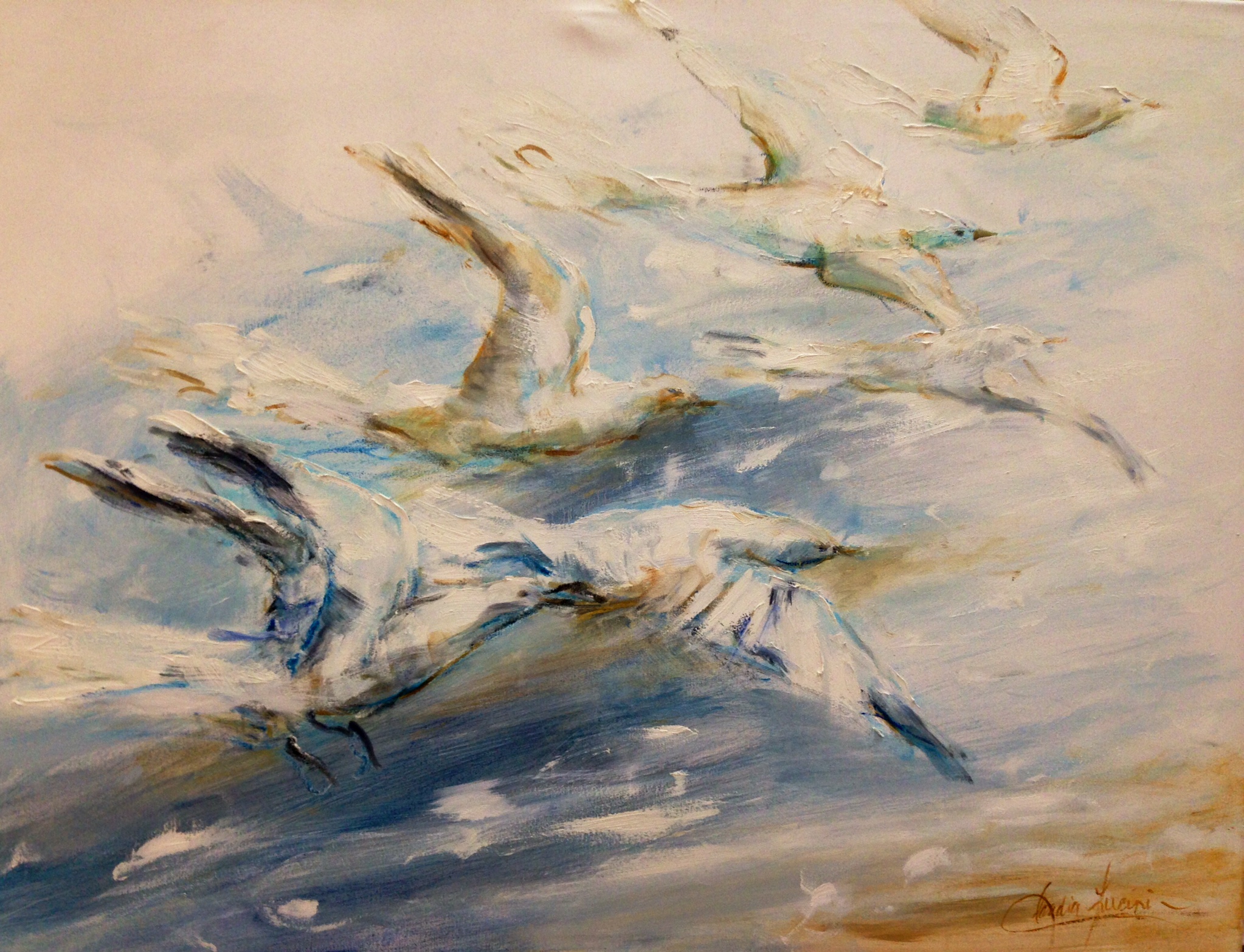 Volar