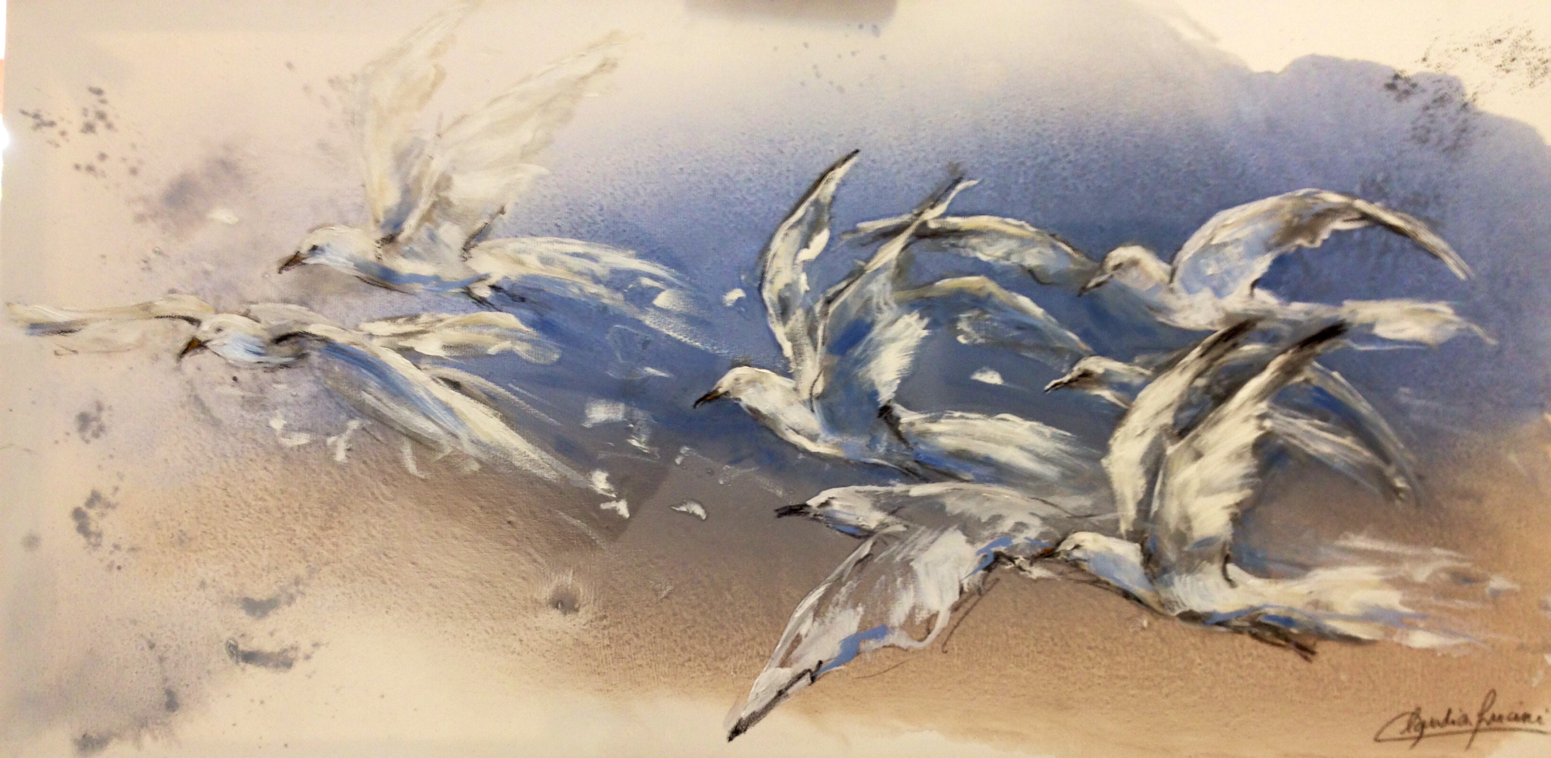 Volar