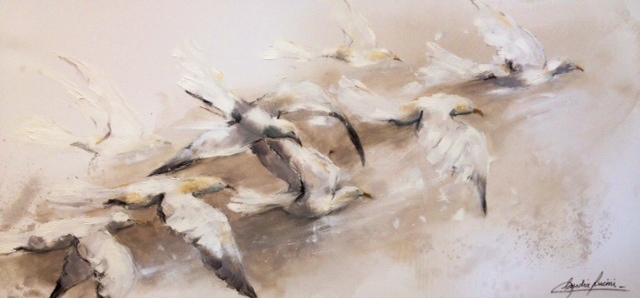 Volar