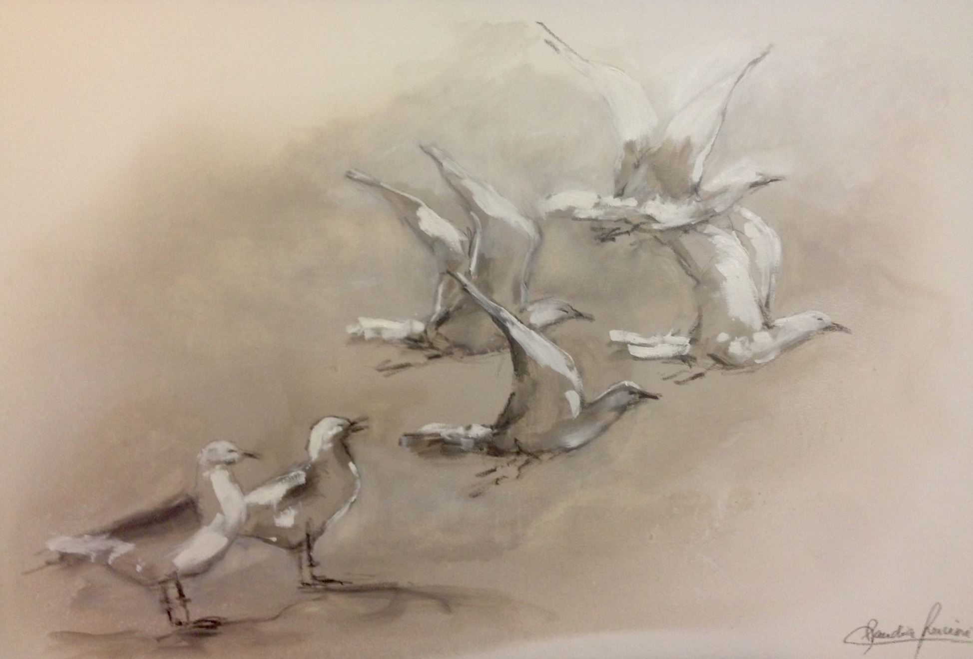 Volar