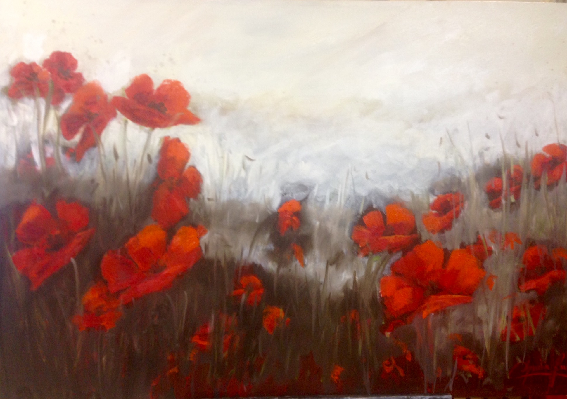 Amapolas