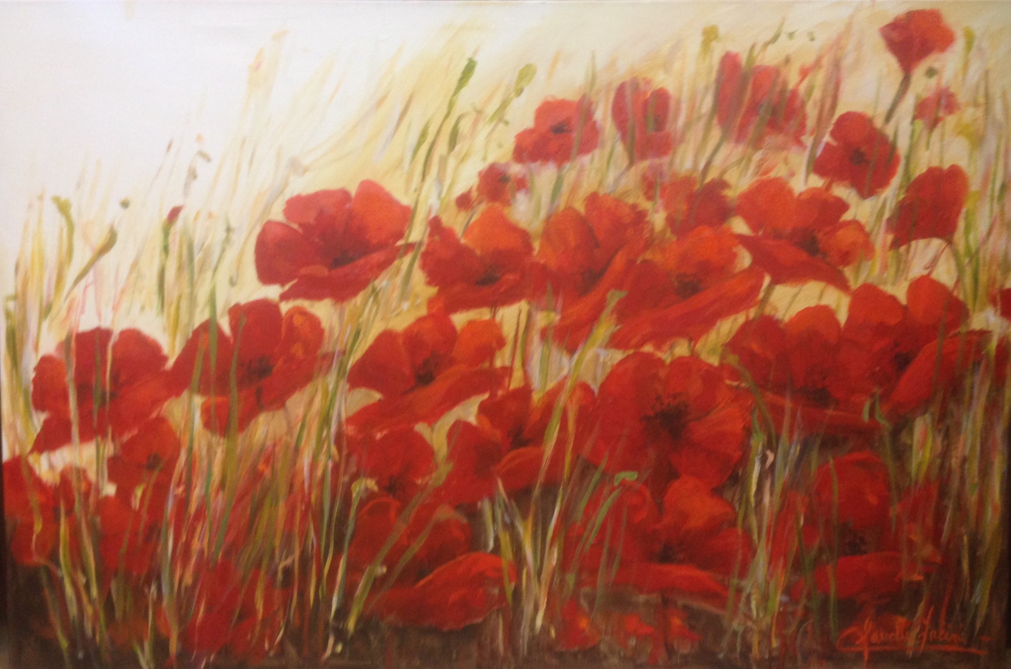 Amapolas