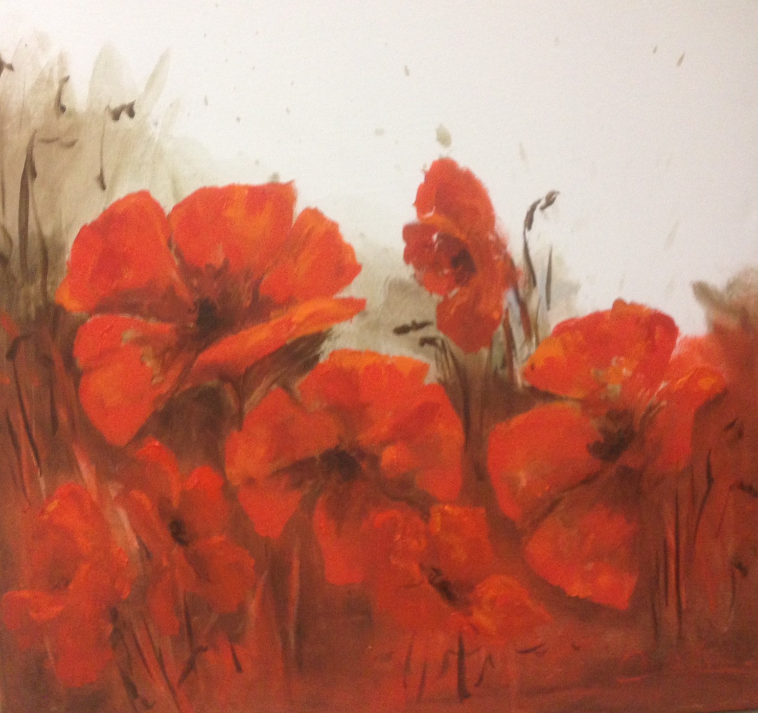Amapolas