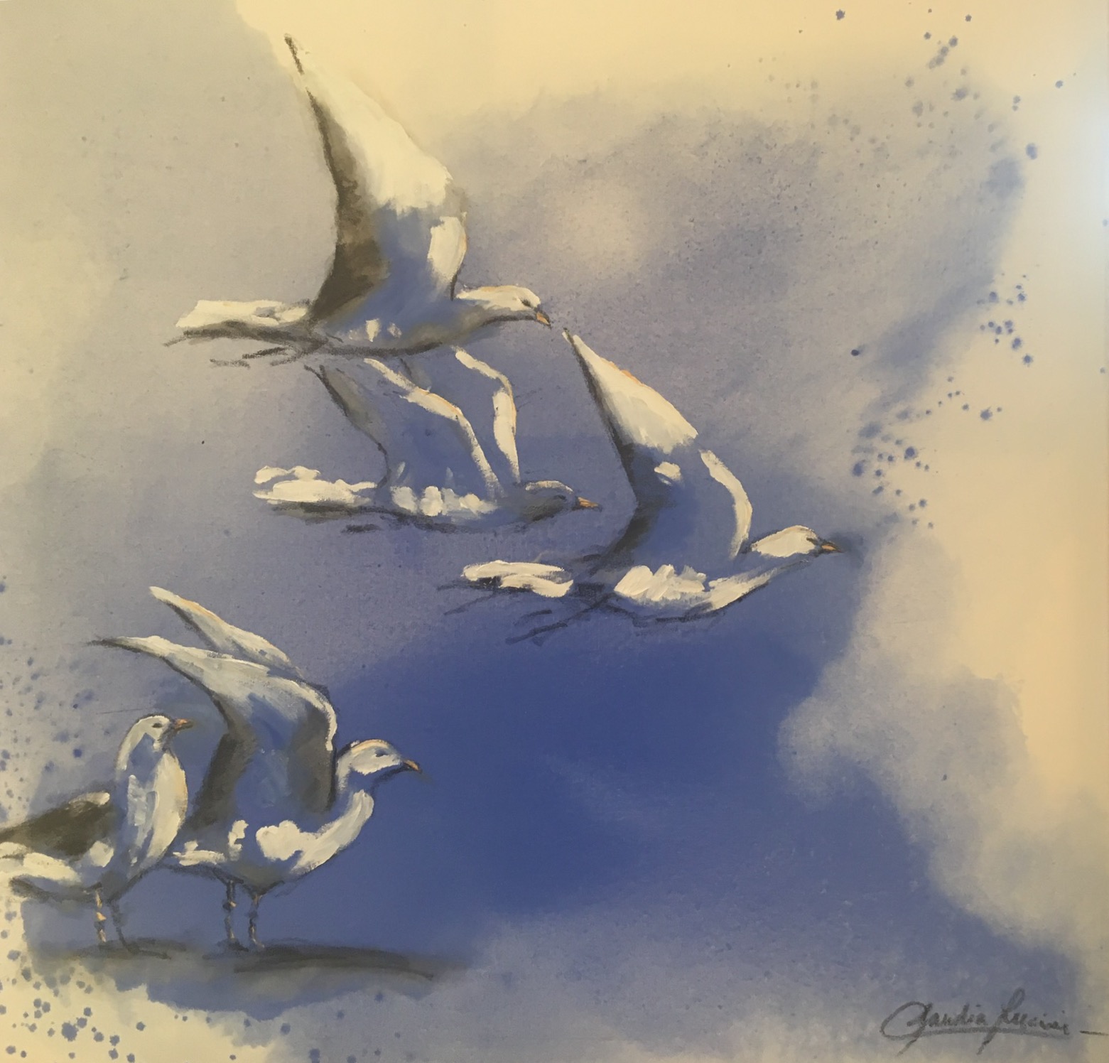 Volar....